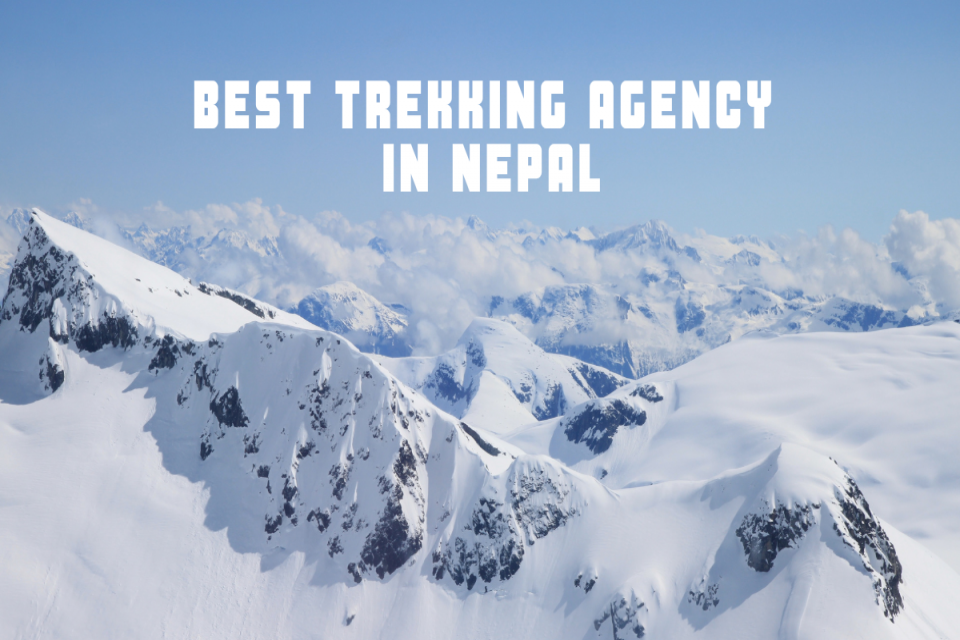 One of the Best Trekking Agency in Nepal in 2022 -Steponhimalya.com